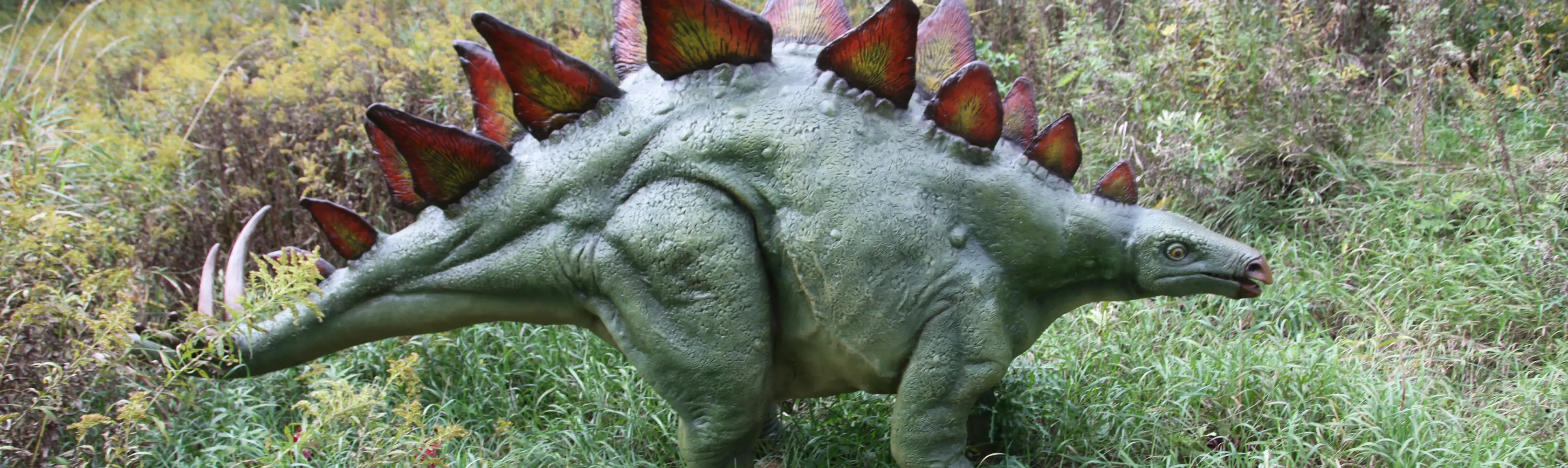 Un dinosaure grandeur nature dans un parc extérieur.